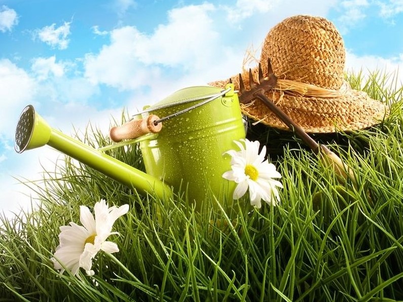 Ведра, лейки.jpg