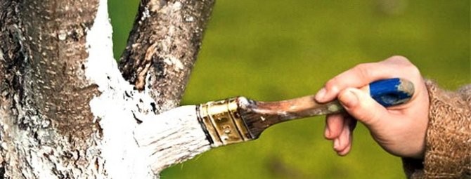 Краска специальная.jpg