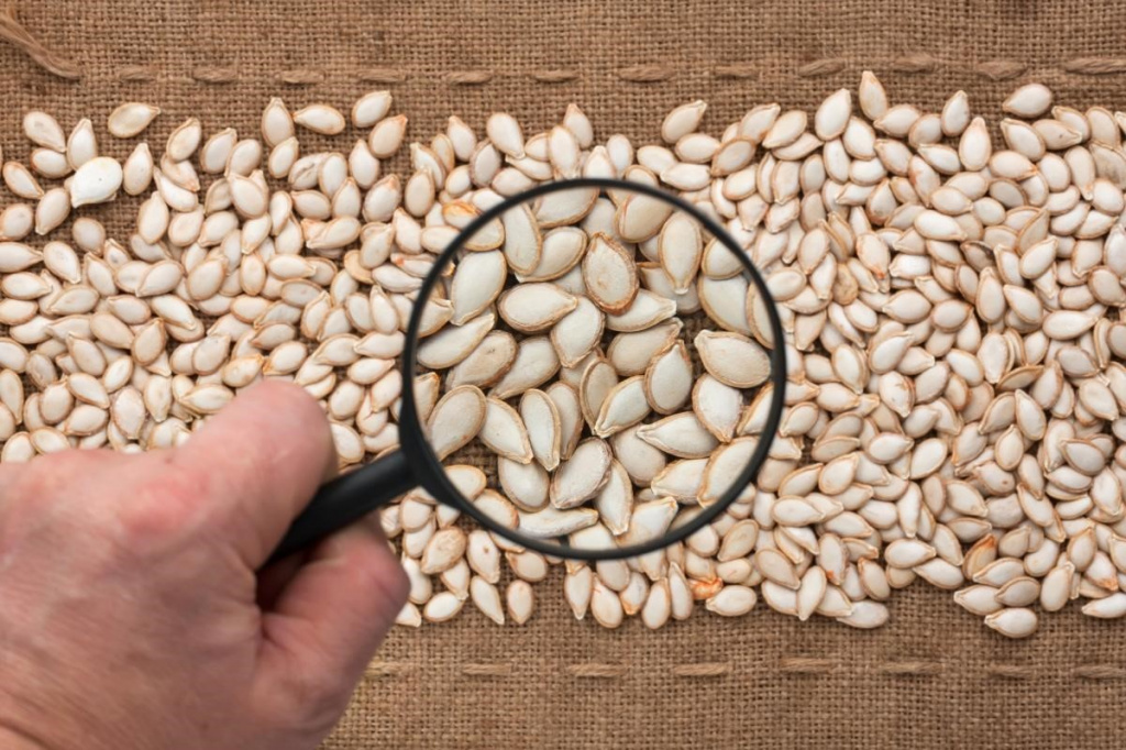 Семена овощных и цветочных культур.jpg