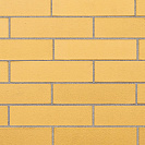 Кирпич клинкерный облицовочный М300 (Ликолор) 250х120х65мм 1НФ, бежевый /480