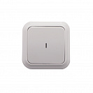 Выключатель одноклавишный накладной Пралеска (Bylectrica) с подсветкой, белый (А1 10-214)