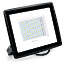 Прожектор светодиодный ДО (Feron) 100Вт, 6400К, IP65, дневной свет