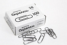 Скрепки 28х100