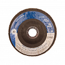 Круг (Т4Р) лепестковый, торцевой, Р60, 150х22мм (2213360)