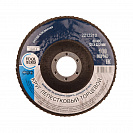 Круг (Т4Р) лепестковый, торцевой, Р100, 125х22мм (2213210)