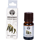 Масло эфирное для бани эвкалипт, 10мл