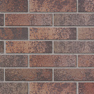 Кирпич керамический облицовочный М200 (Ликолор) 250х120х65мм, 1НФ, тайга, морион север /480