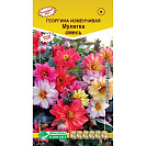Семена Георгина изменчивая "Мулатка" смесь (Евросемена) 20шт